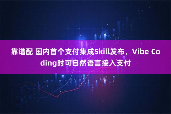 靠谱配 国内首个支付集成Skill发布，Vibe Coding时可自然语言接入支付