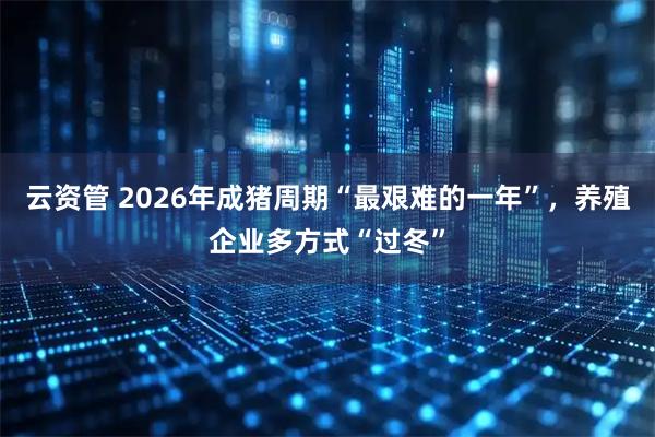 云资管 2026年成猪周期“最艰难的一年”，养殖企业多方式“过冬”