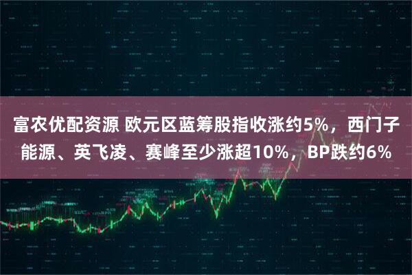 富农优配资源 欧元区蓝筹股指收涨约5%，西门子能源、英飞凌、赛峰至少涨超10%，BP跌约6%
